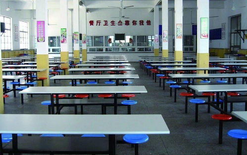 增城公办中小学食堂中餐服务现状与展望