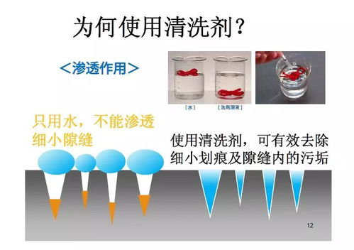 食品工厂清洗的重要性与电子产品互联网销售的协同发展
